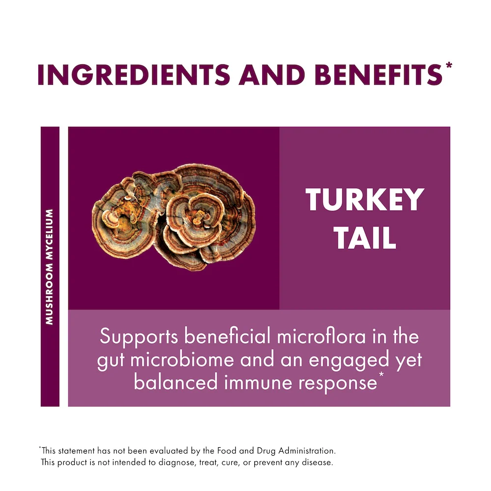 Turkey Tail Capsules - Image 4