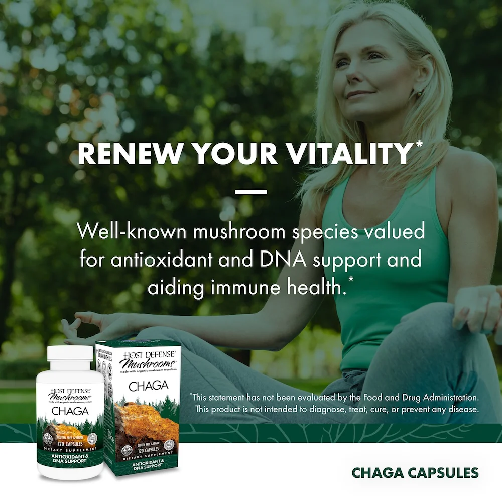 Chaga Capsules - Image 4