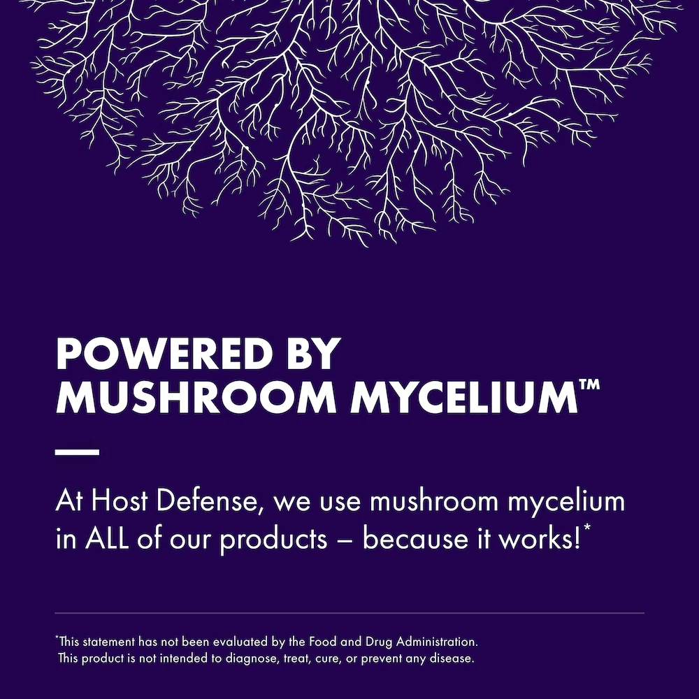 MycoBrew® Cocoa - Image 6