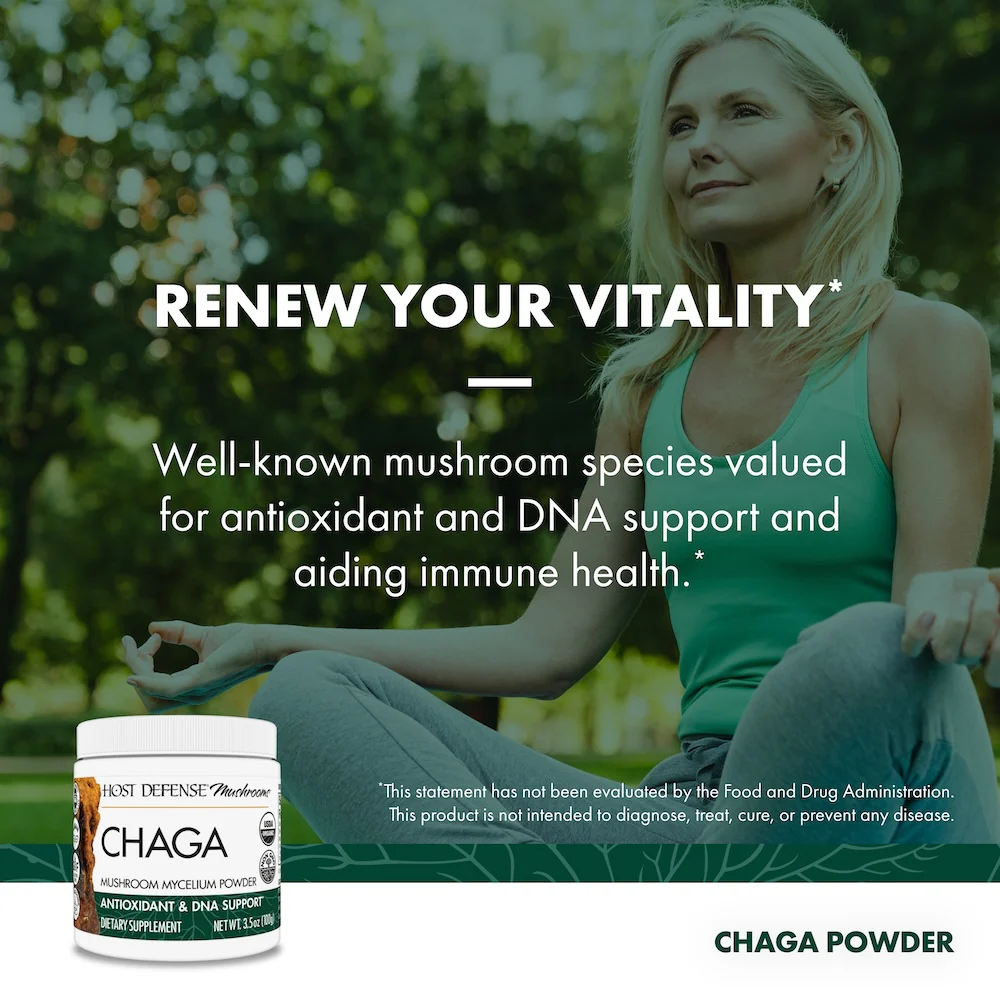 Chaga Powder - Image 4