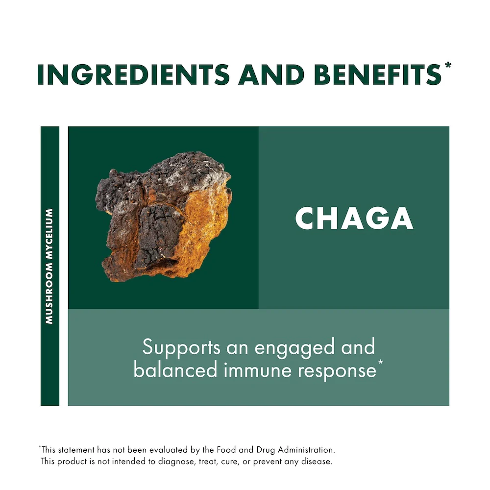 Chaga Powder - Image 5